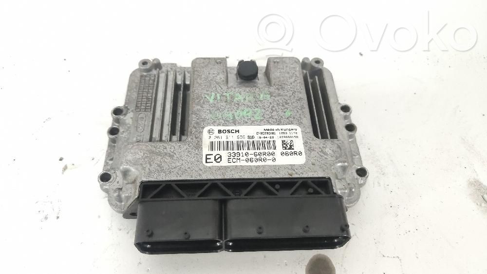 Engine control unit/module   3391060R00
