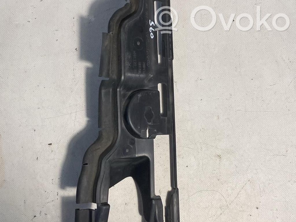 Radiator trim   31290775