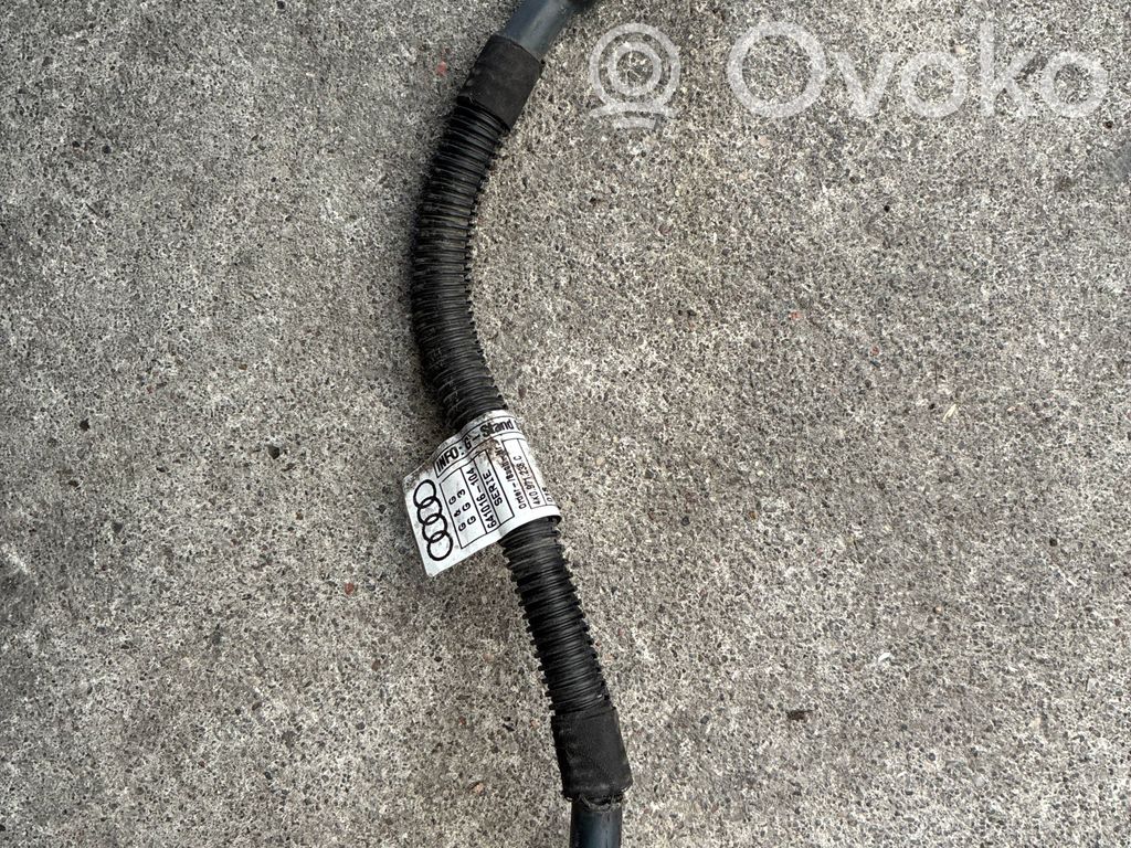 Audi RS7 C8 Otros cableados 