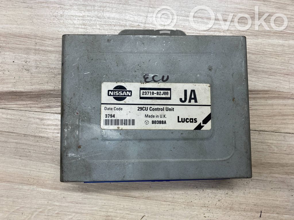 Nissan Primera Engine control unit/module 