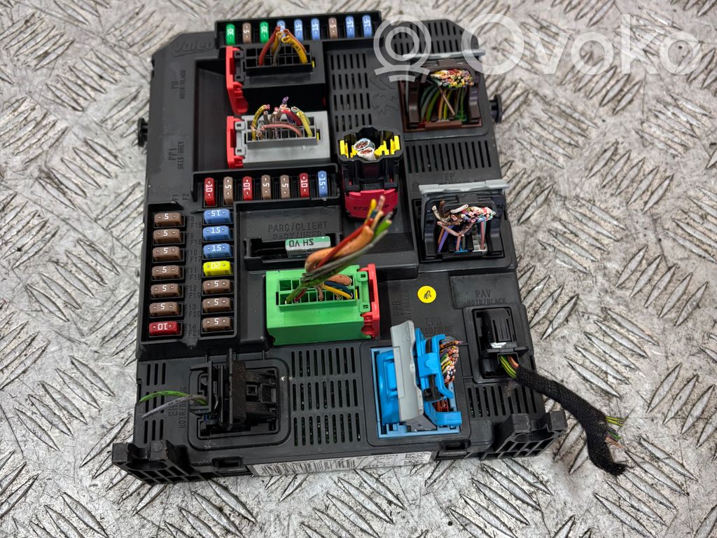 BSM Control unit   E1092030,9678355980,20130424