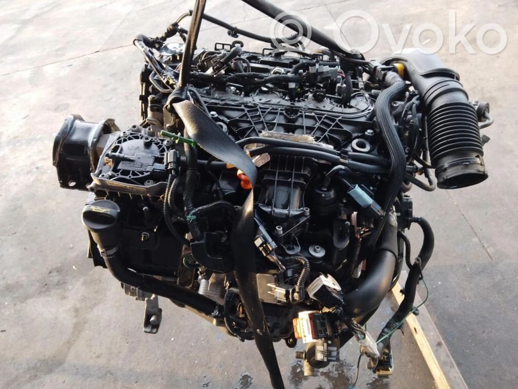 Motor   RHB