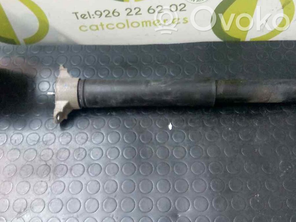 Ford Focus C-MAX Amortizor spate 