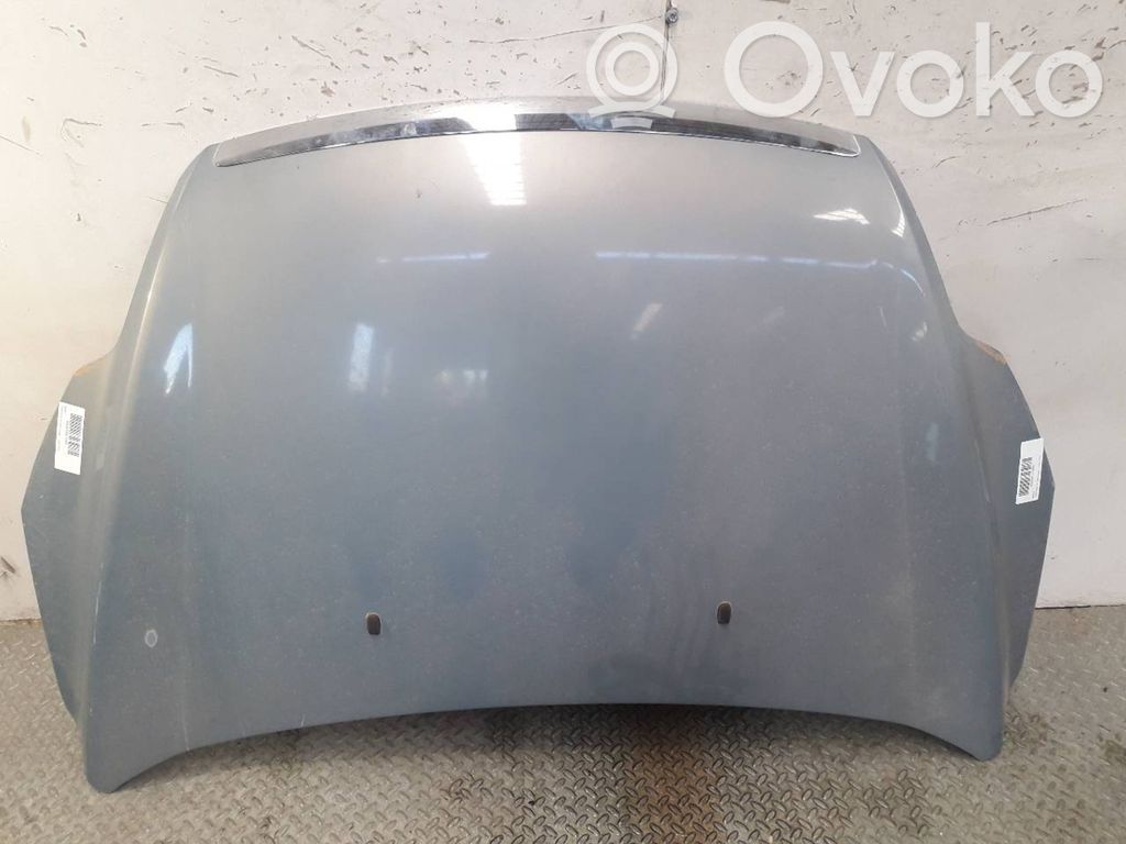 Capó/tapa del motor   1521601