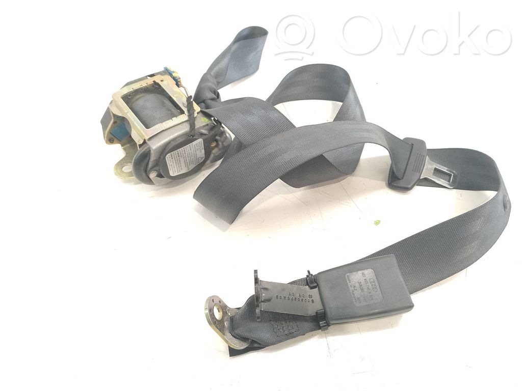 Cinturón trasero   601782900