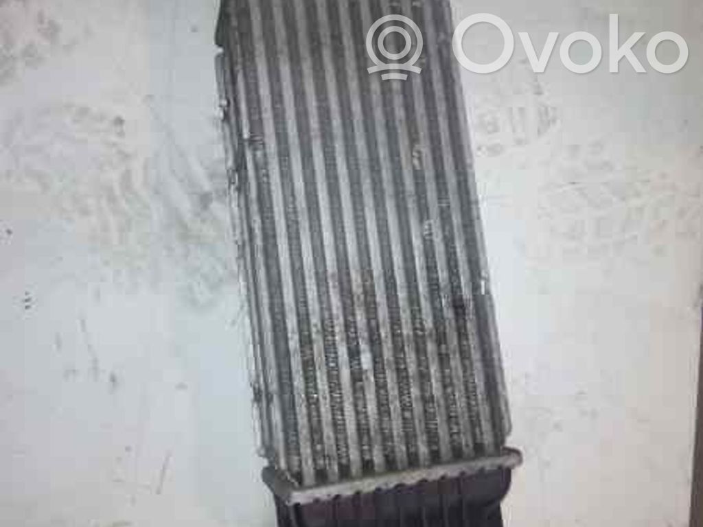 Radiator intercooler