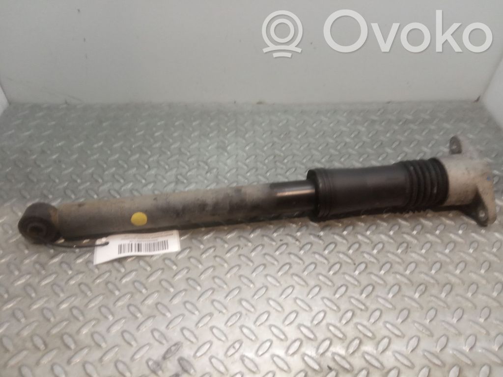 Stoßdämpfer hinten
