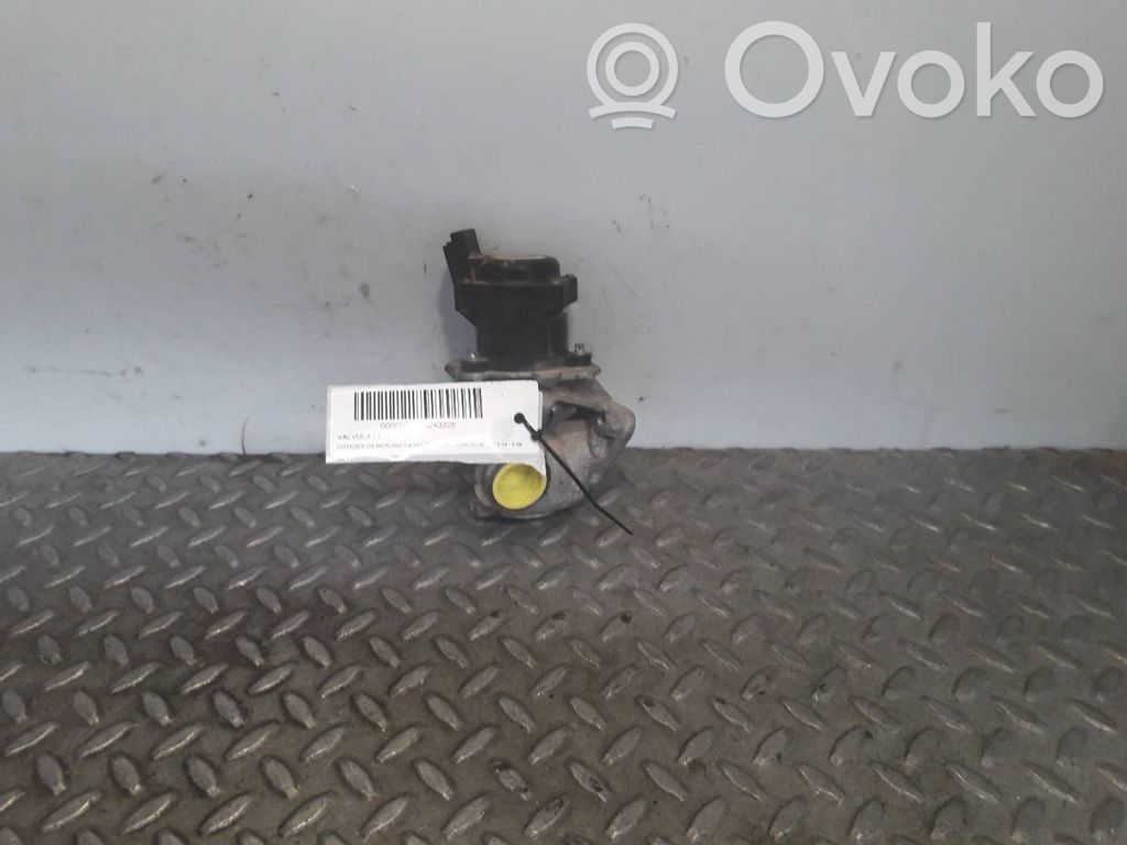 Válvula EGR   9673258680