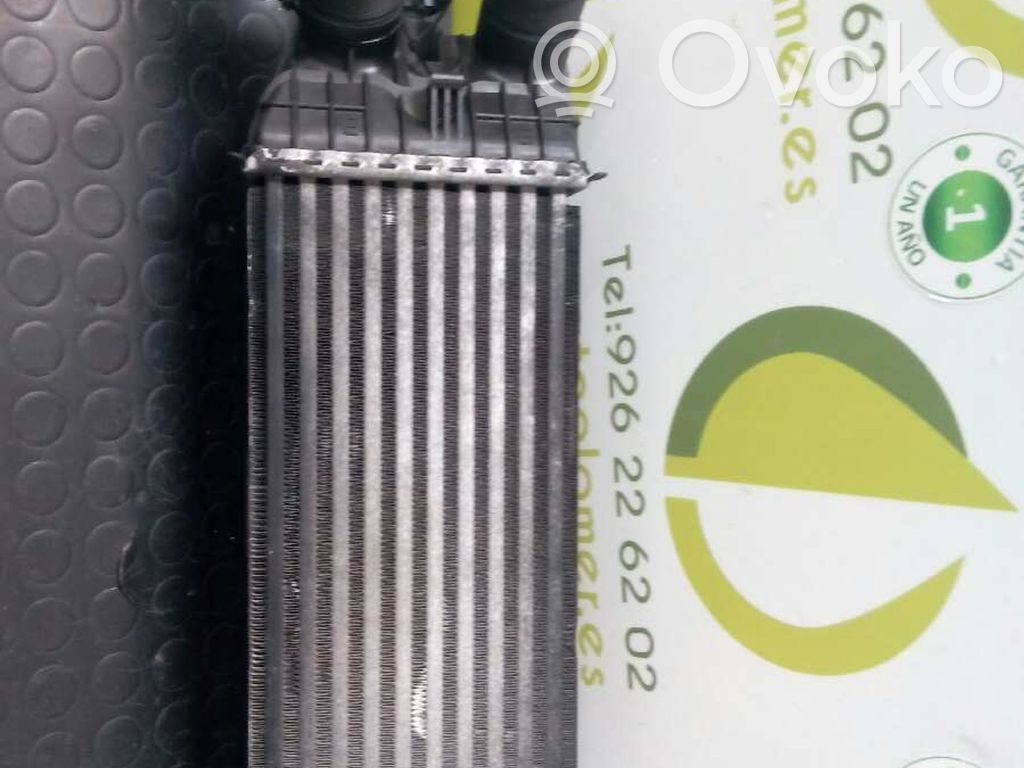 Peugeot 207 Chłodnica powietrza doładowującego / Intercooler 