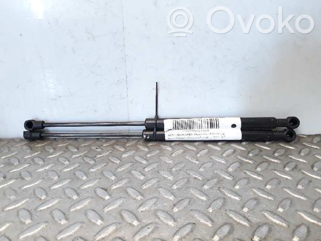 Renault Scenic II -  Grand scenic II Gasdruckfeder Dämpfer Heckklappe Kofferraumdeckel 