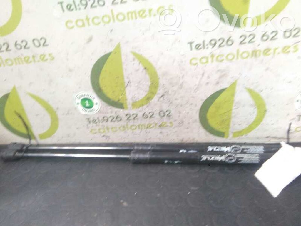 Skoda Fabia Mk2 (5J) Amortiguador/puntal del maletero/compartimento de carga 