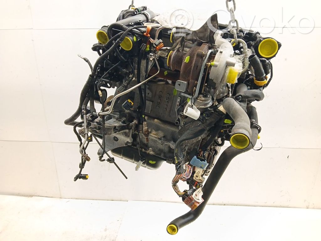 Motor