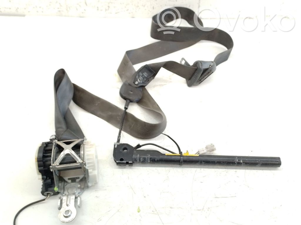 Cinturón delantero   33056053D,33056053D,33056053D