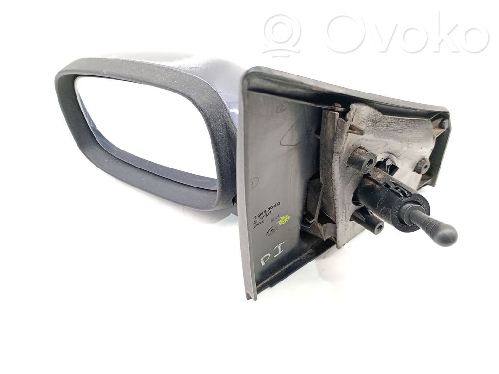 Renault Clio III Front door electric wing mirror 