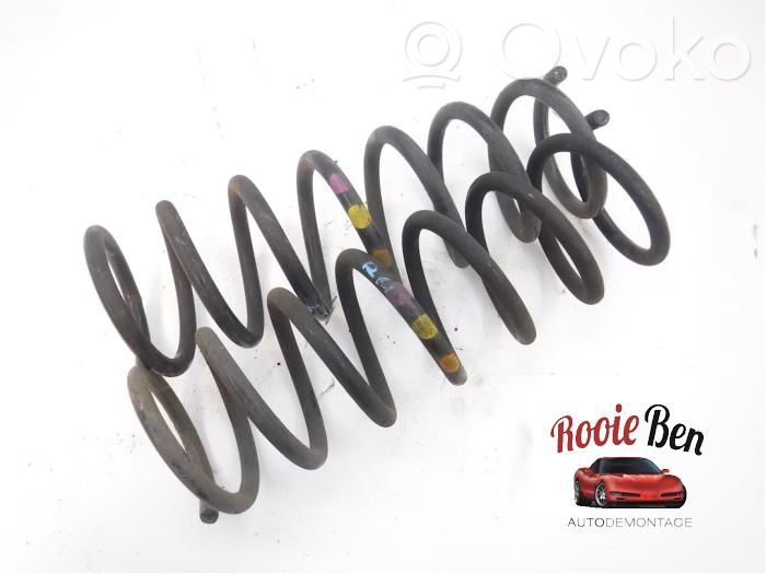 Rear coil spring