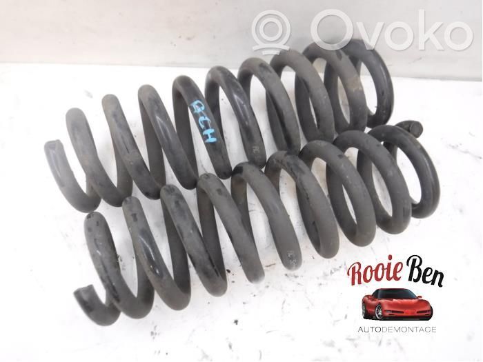 Rear coil spring