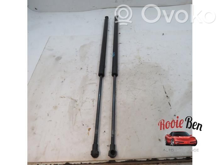 Tailgate/trunk strut/damper   E83HK