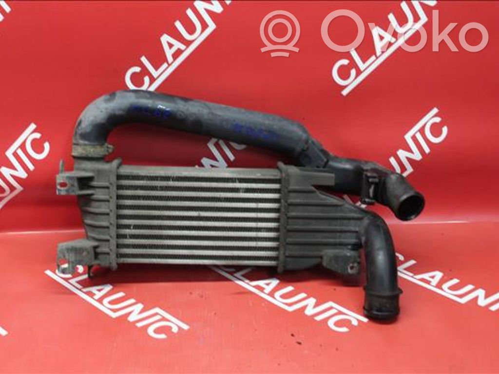 Intercooler radiator   OP013233974
