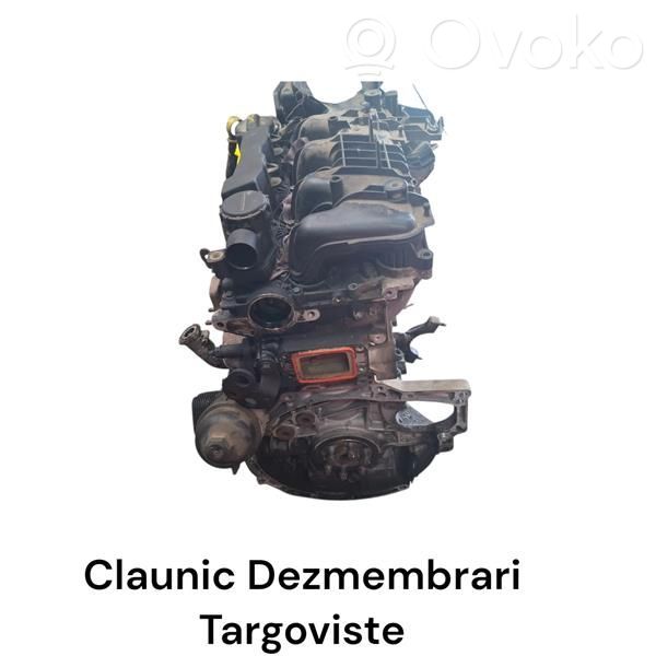 Ford Focus Motor 