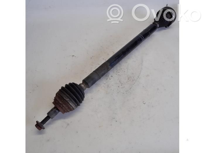 Seat Leon (1P) Front driveshaft 