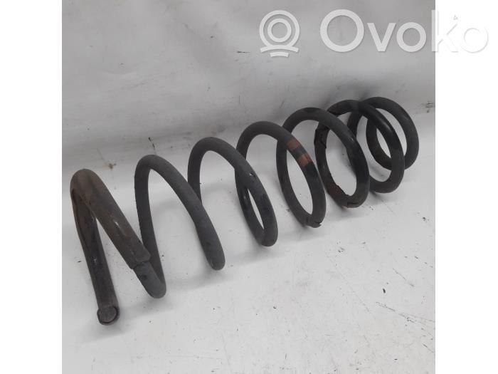 Rear shock absorber with coil spring