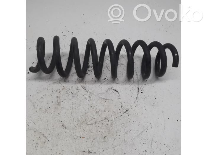 Rear shock absorber with coil spring