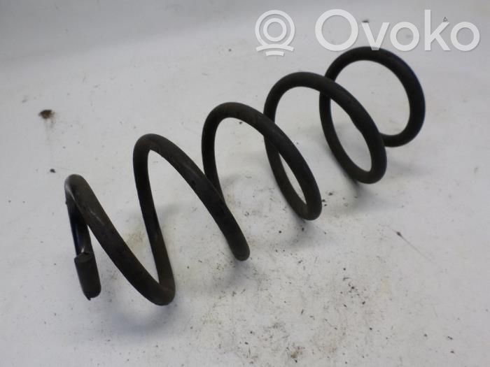 Rear shock absorber with coil spring