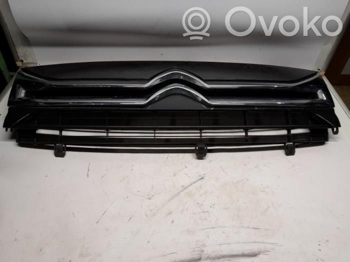 Citroen Jumpy Front grill 