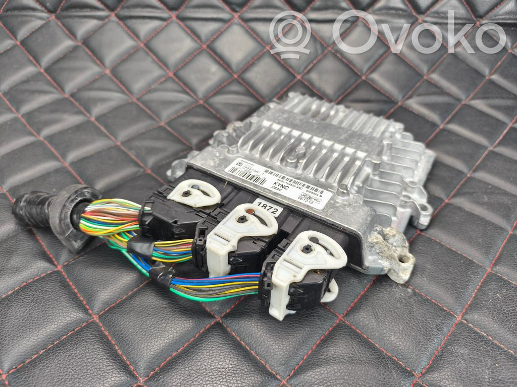 Ford Focus Engine control unit/module 