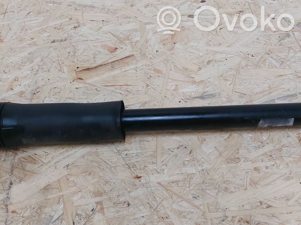 Jaguar XE Stoßdämpfer hinten 