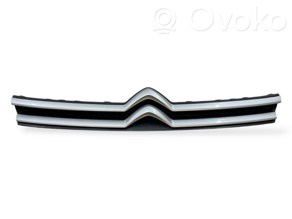 Grille de calandre avant   1591882X