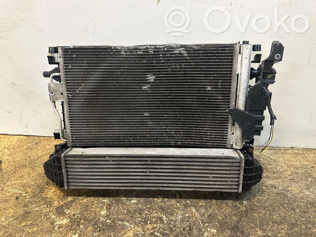 Radiator set   10251191,10245769,23273401,420810582