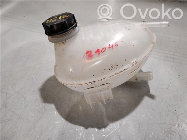 Ford Puma Fuel expansion tank 