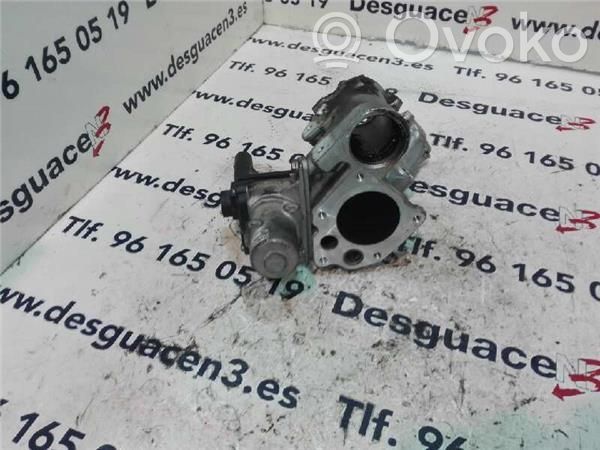 Renault Kangoo II EGR valve 
