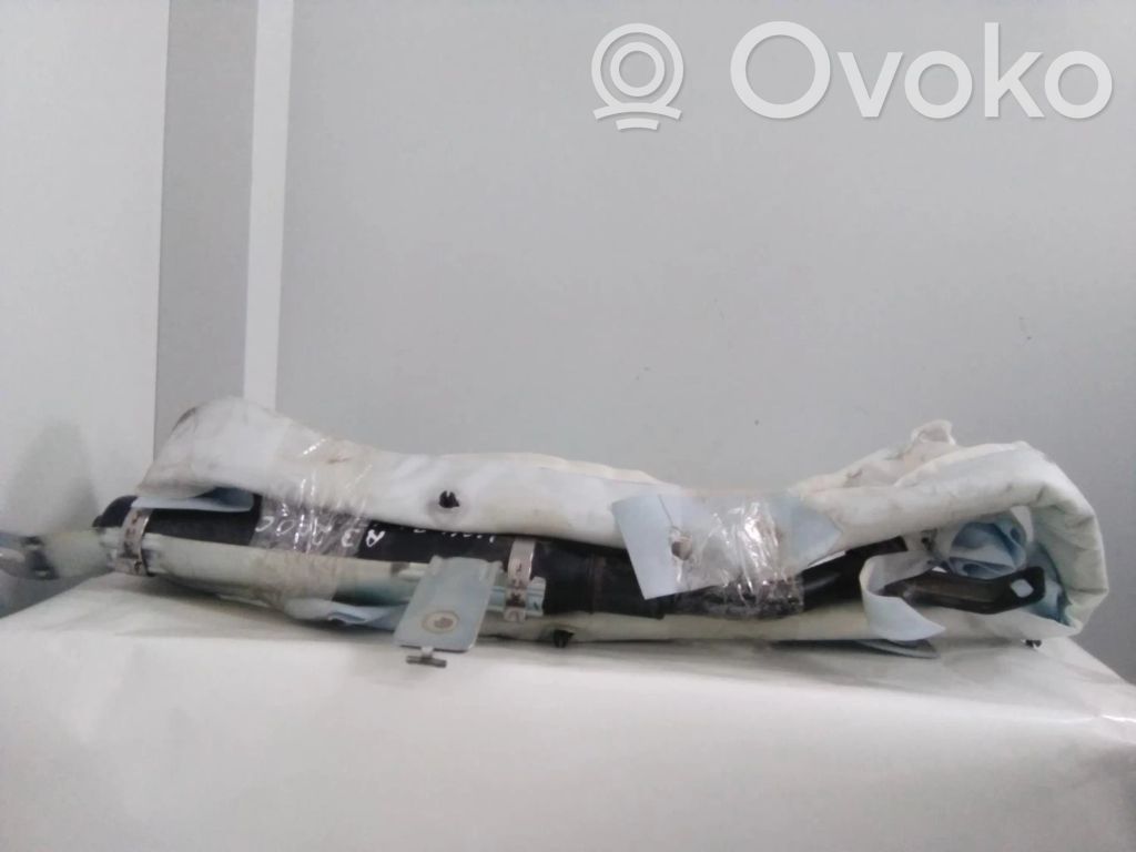 Airbag lateral   100115710,100115710