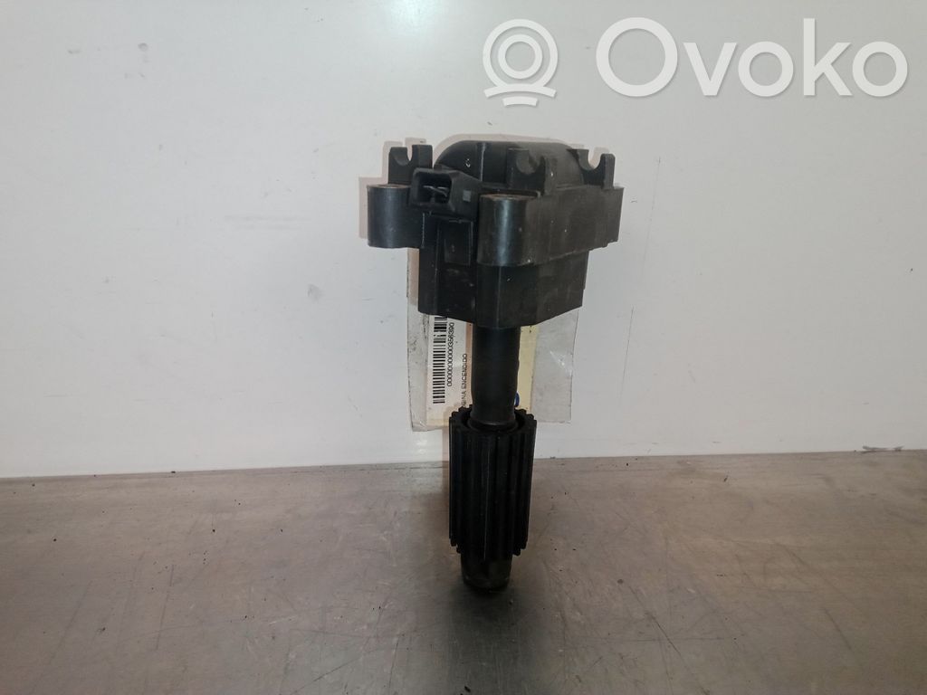 High voltage ignition coil