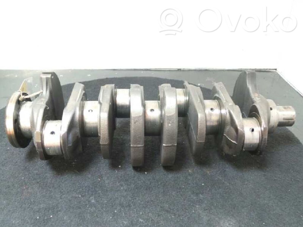 Wał korbowy   1205F3