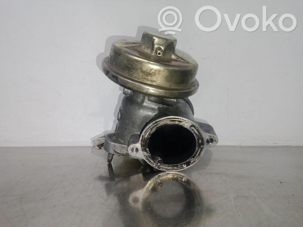 Válvula EGR   309C02P