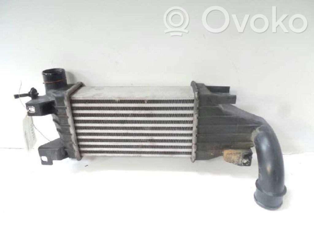 Intercooler radiator   13128926