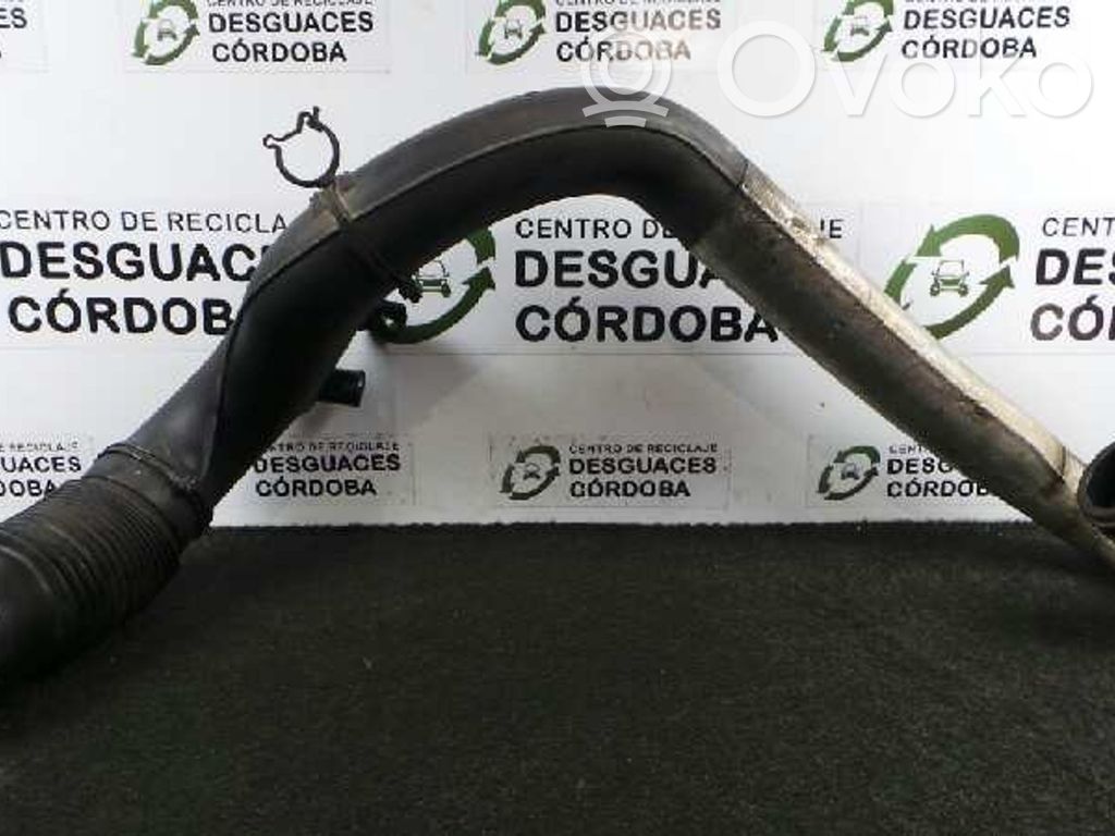 Coolant pipe/hose   9631719080A