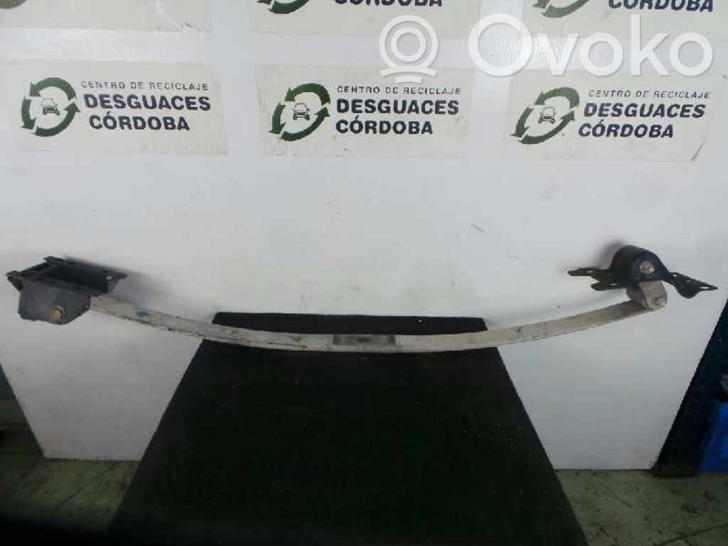 Front leaf spring