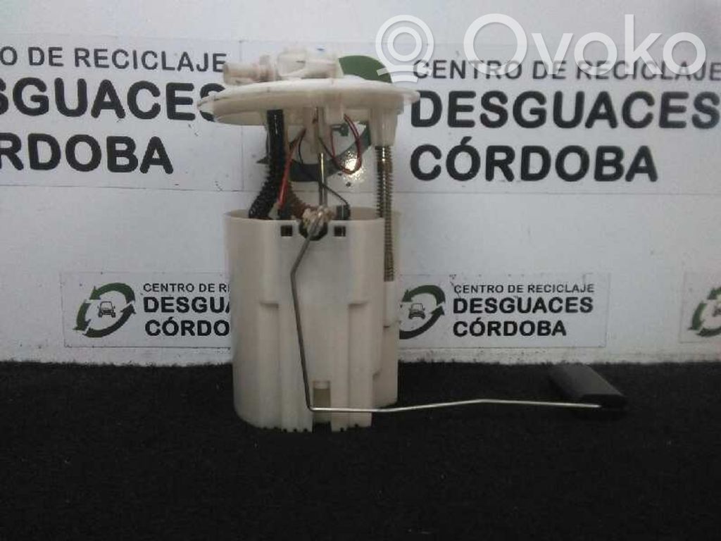 Bomba interna de combustible   172020033R,SINBOMBA,2PINES