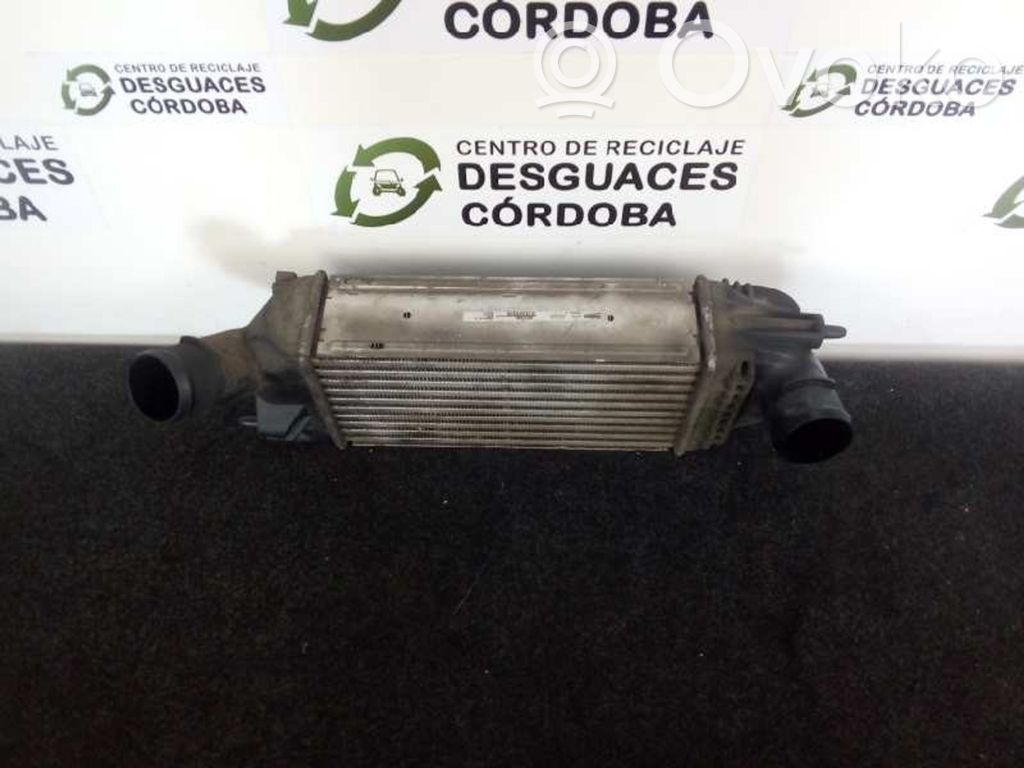 Peugeot 407 Intercooler radiator 