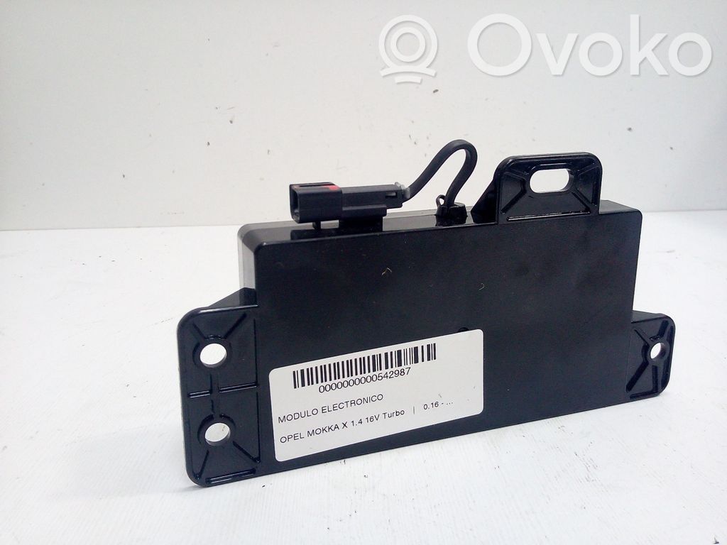 Other control units/modules   42454411,2PINES