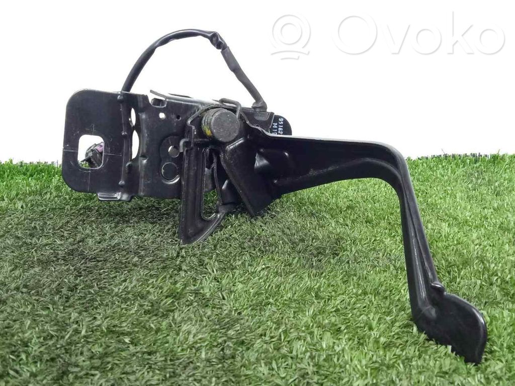 Tie down hook / loop   95182353