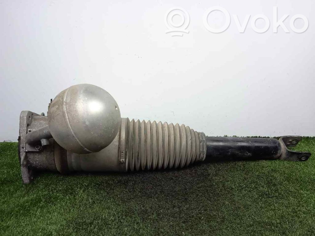Stoßdämpfer hinten