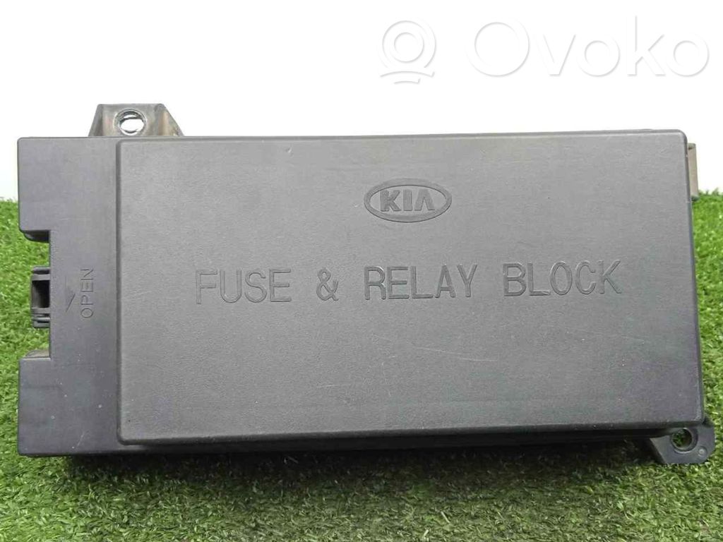 BSM Control unit   911613E010