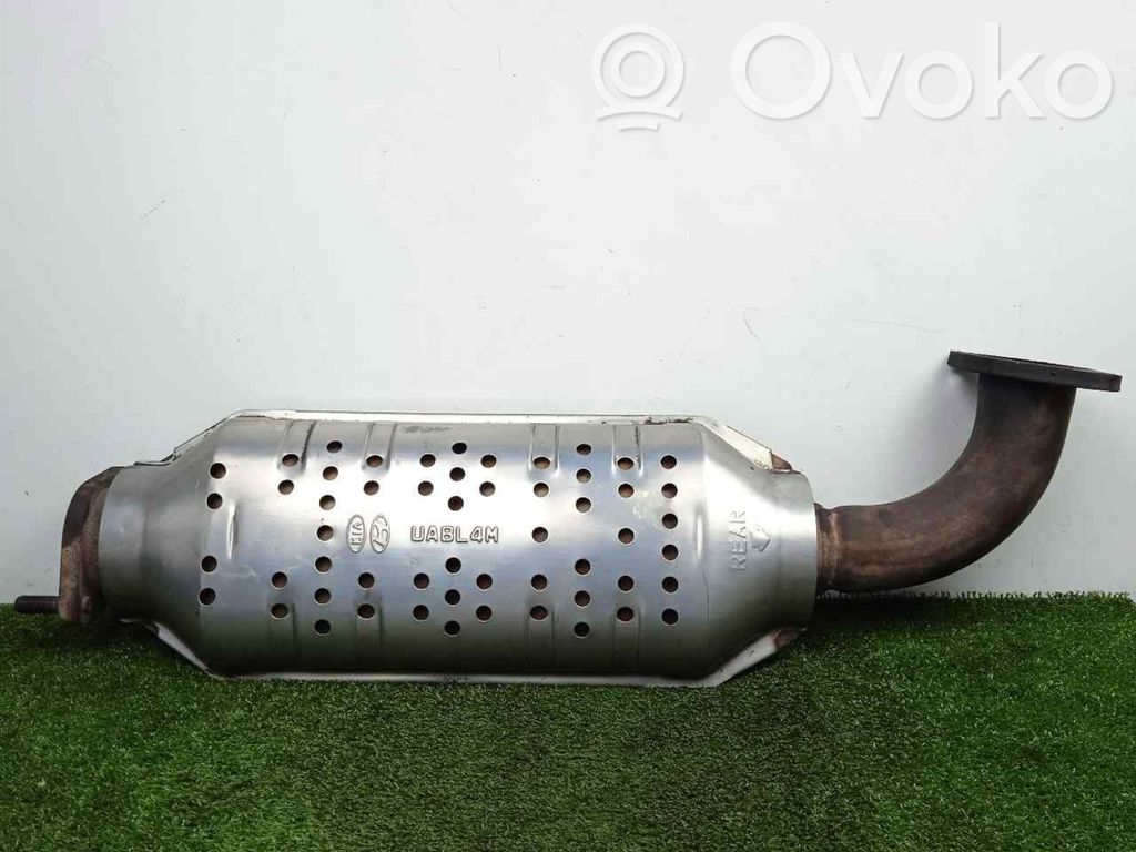 Catalyst/FAP/DPF particulate filter   UABL4M