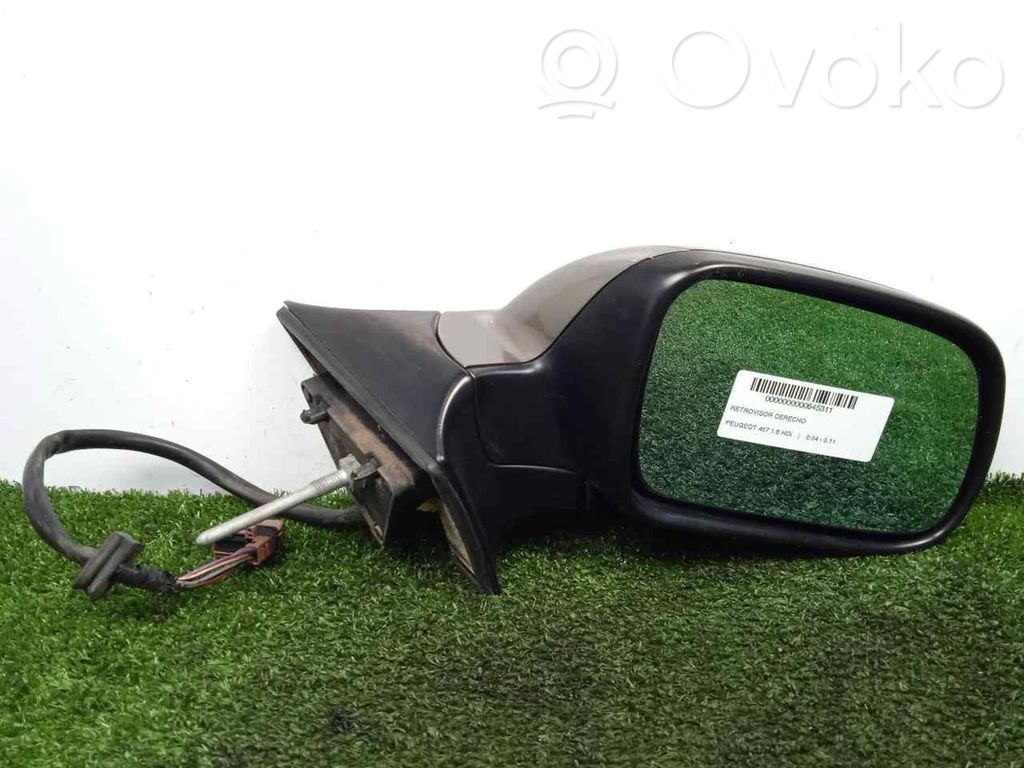 Peugeot 407 Front door electric wing mirror 