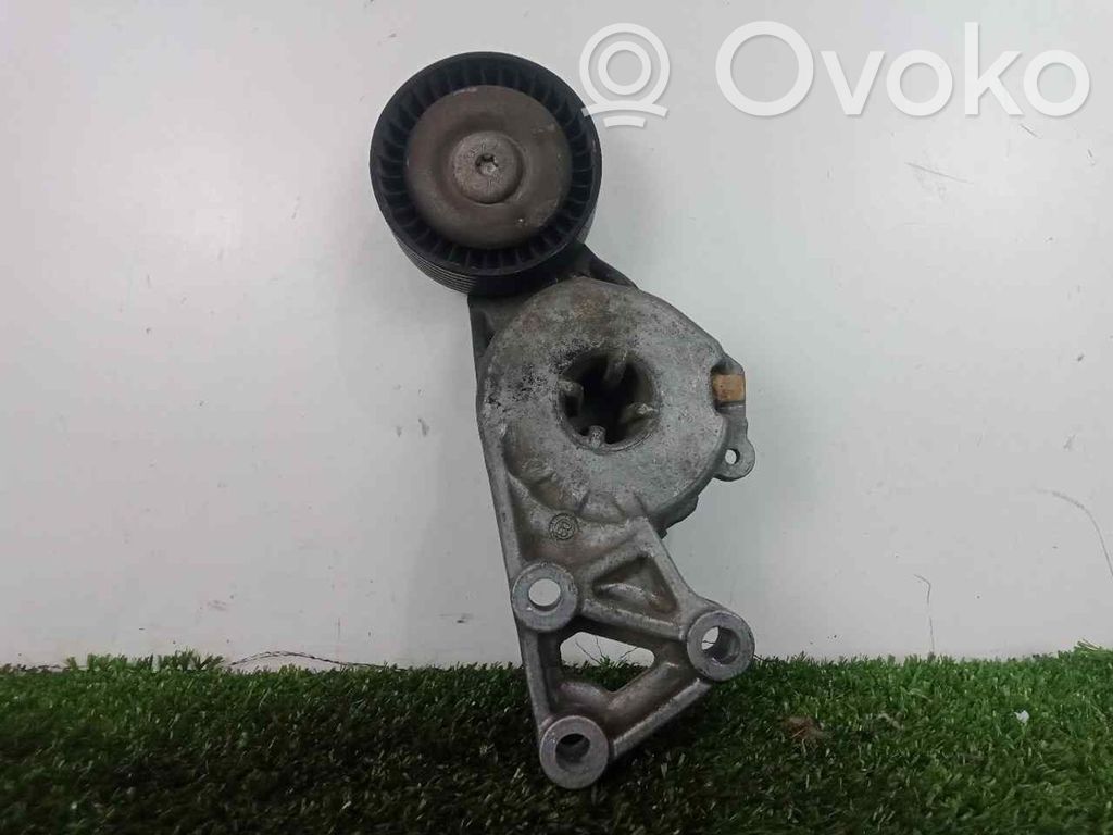 Tensor de correa del alternador   06A903315E